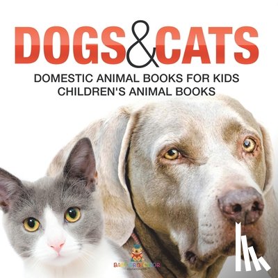 Baby - Dogs and Cats