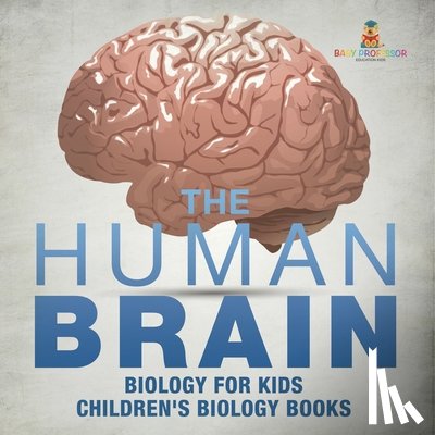 Baby - The Human Brain - Biology for Kids | Children's Biology Books