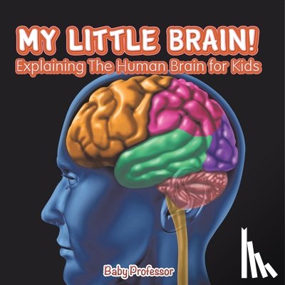 Baby - My Little Brain! - Explaining The Human Brain for Kids