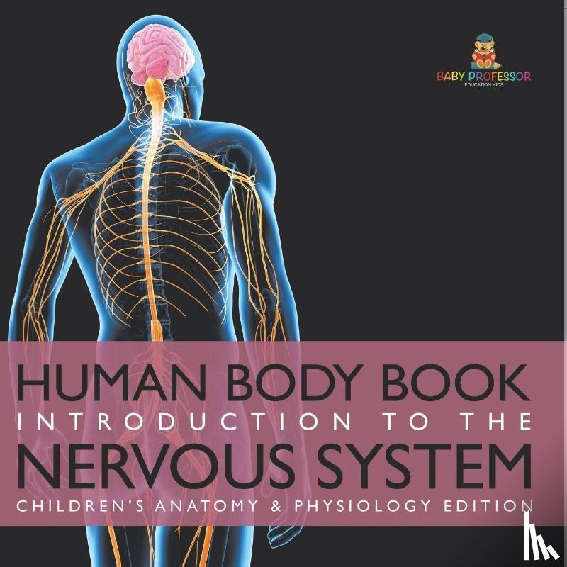 Baby - Human Body Book | Introduction to the Nervous System | Children's Anatomy & Physiology Edition