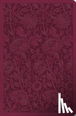 Esv Bibles - ESV Value Compact Bible (Trutone, Raspberry, Floral Design)