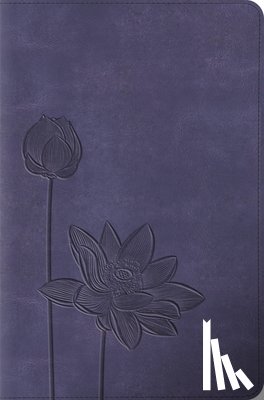 Esv Bibles - ESV Compact Bible
