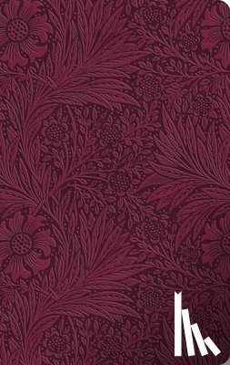 Esv Bibles - ESV Large Print Value Thinline Bible
