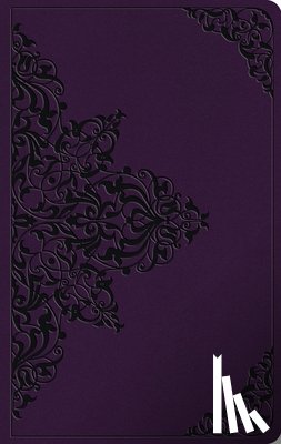 Esv Bibles - ESV Large Print Value Thinline Bible