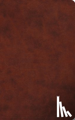 Esv Bibles - ESV Large Print Value Thinline Bible