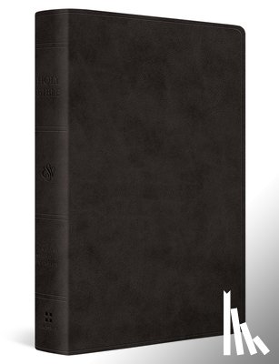Esv Bibles - ESV Giant Print Value Thinline Bible (Trutone, Black)