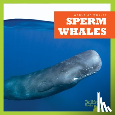 Chanez, Katie - Sperm Whales