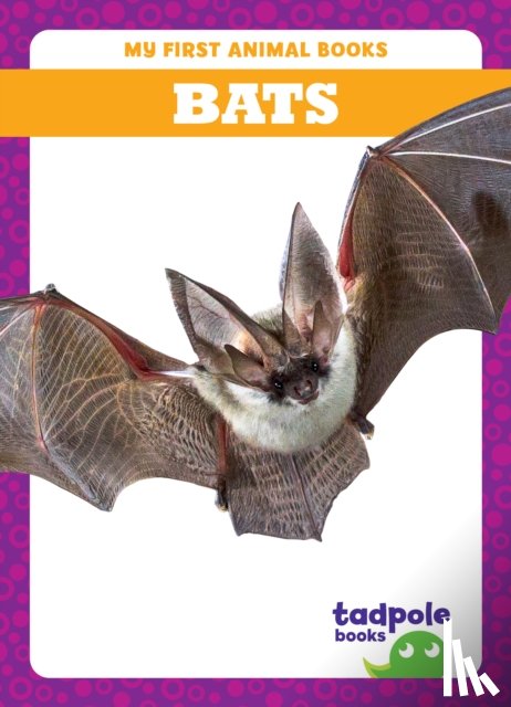 Deniston, Natalie - Bats