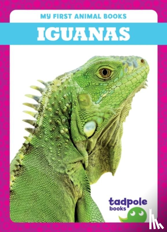 Deniston, Natalie - Iguanas
