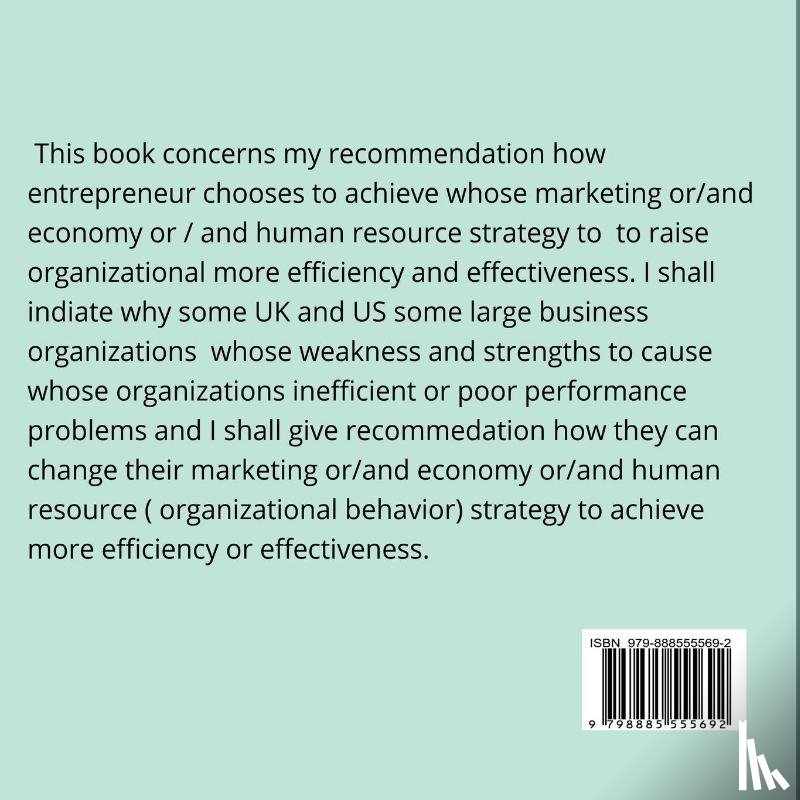 Lok, John - Organizational Behavioral Economy Strategies