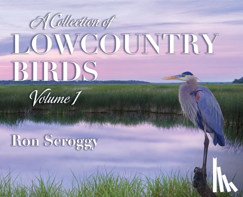 Scroggy, Ron - A Collection of Lowcountry Birds