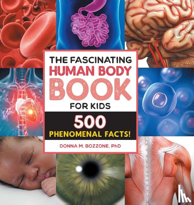 Bozzone, Donna M. - The Fascinating Human Body Book for Kids