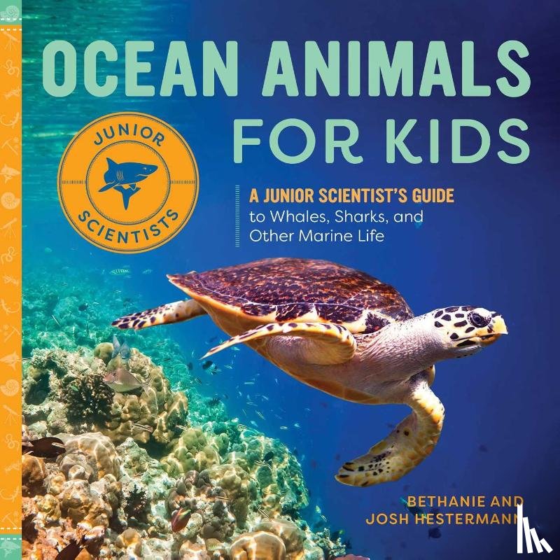 Hestermann, Bethanie, Hestermann, Josh - Ocean Animals for Kids