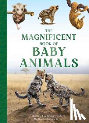 Taylor, Barbara - The Magnificent Book of Baby Animals