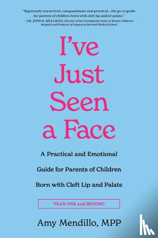 Mendillo, Amy - I've Just Seen a Face