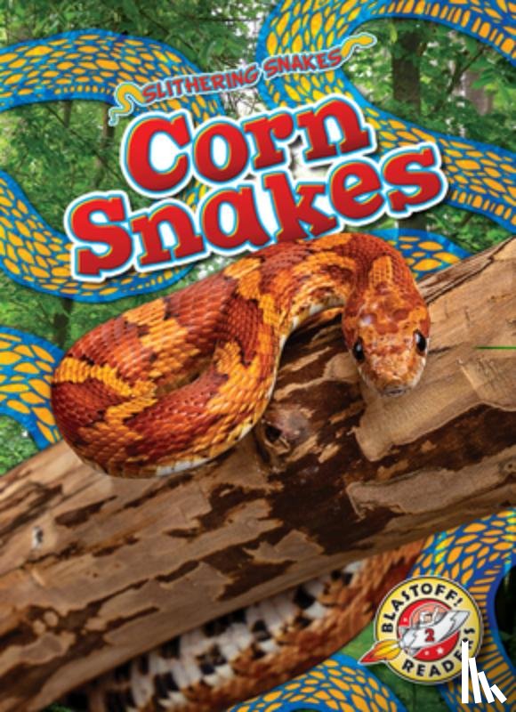 Mattern, Joanne - Corn Snakes