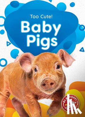 Neuenfeldt, Elizabeth - Baby Pigs