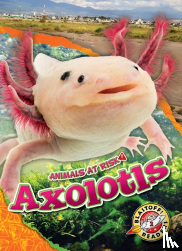 Grack, Rachel - Axolotls
