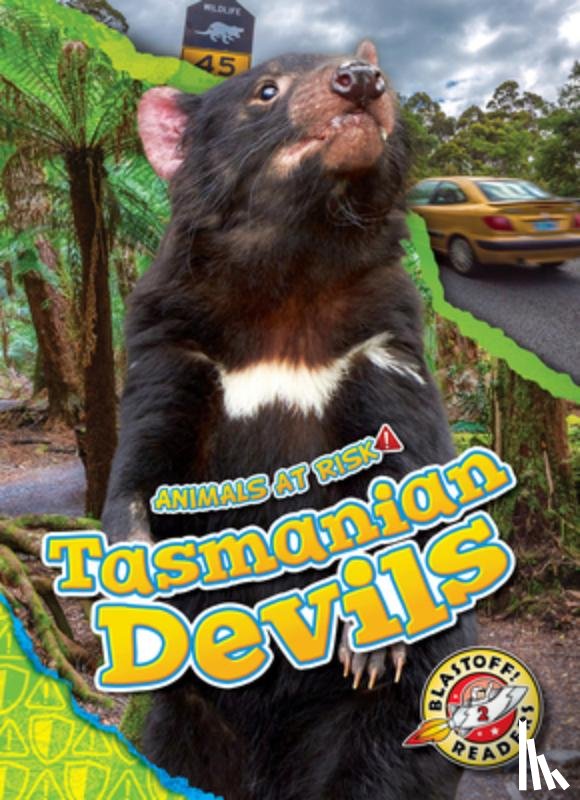 Grack, Rachel - Tasmanian Devils