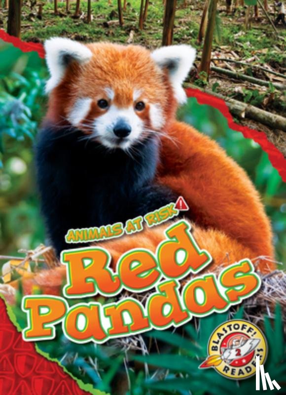 Grack, Rachel - Red Pandas