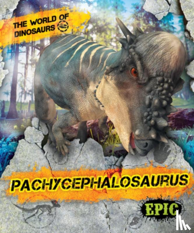 Sabelko, Rebecca - Pachycephalosaurus