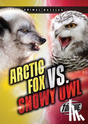 Sommer, Nathan - Arctic Fox vs. Snowy Owl