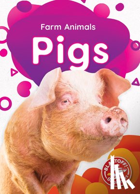 Sabelko, Rebecca - Pigs
