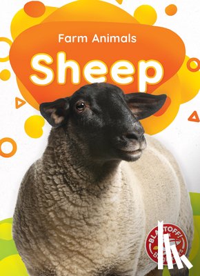 Sabelko, Rebecca - Sheep