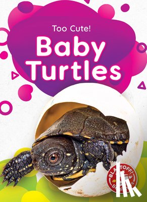 Neuenfeldt, Elizabeth - Baby Turtles