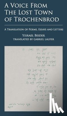 Beider, Yisrael - A Voice from The Lost Town of Trochenbrod
