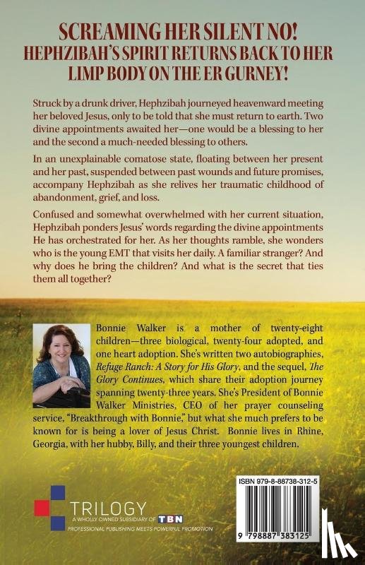 Walker, Bonnie - Hephzibah's Healing
