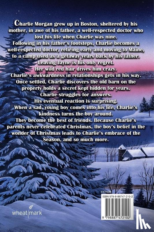 Briggs Ward, Barbara - Under Glittering Christmas Stars