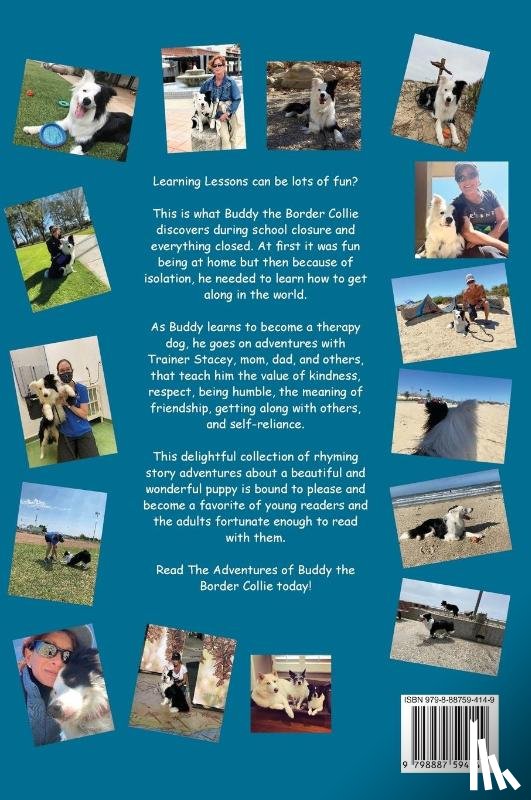 Schuck, Lani - The Adventures of Buddy the Border Collie