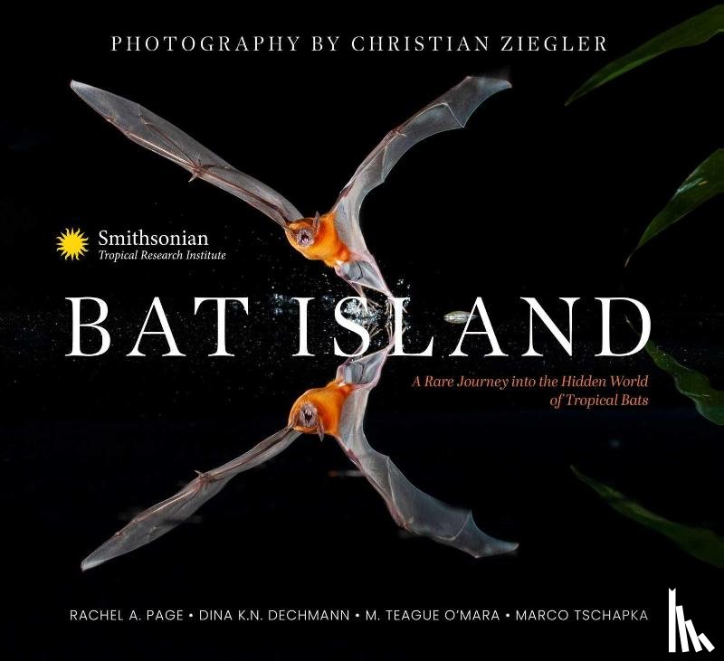 Page, Dr. Rachel A., Dechmann, Dr. Dina K. N., Teague O'Mara, Dr. M., Tschapka, Dr. Marco - Bat Island