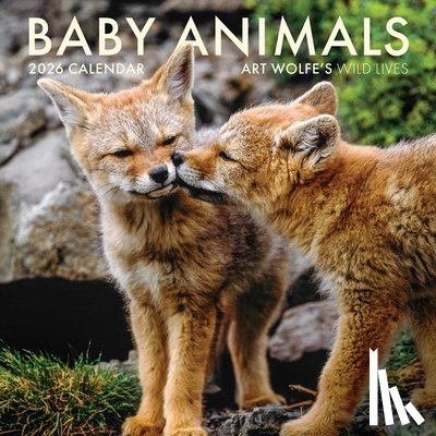 Wolfe, Art - 2026 Baby Animals Wall Calendar
