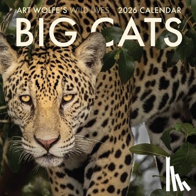 Wolfe, Art - 2026 Big Cats Wall Calendar