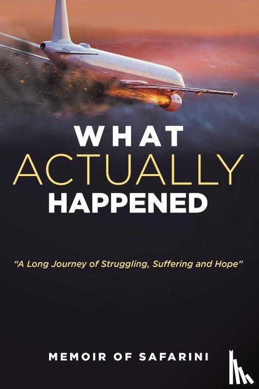 Safarini - What Actually Happened