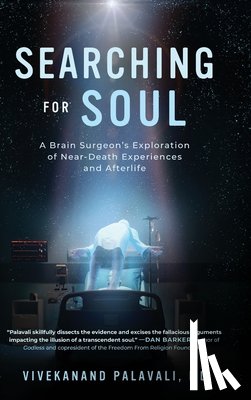 Palavali MD, Vivekanand - Searching for Soul