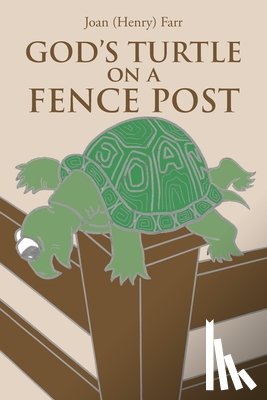 Farr, Joan (Henry) - God's Turtle on a Fence Post
