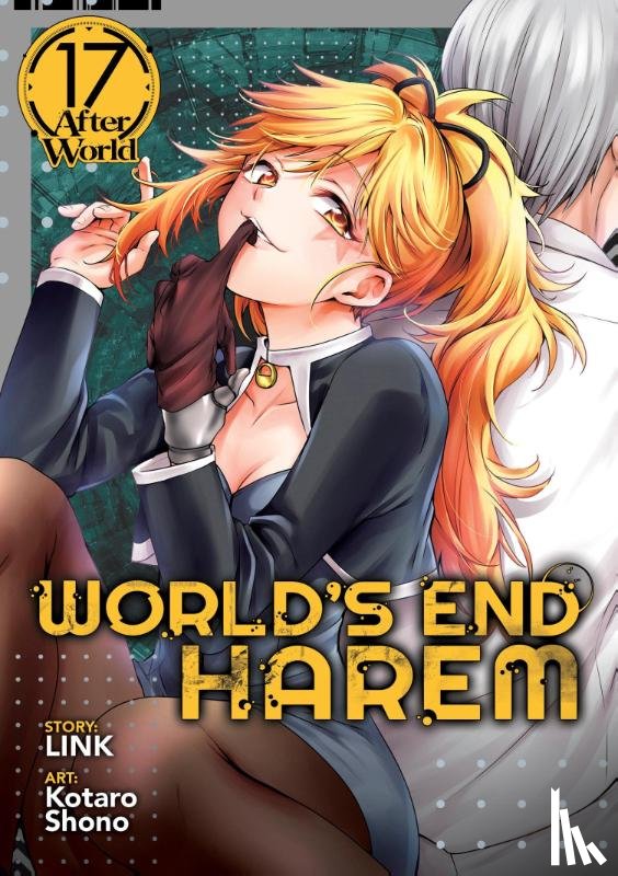 Link - World's End Harem Vol. 17 - After World
