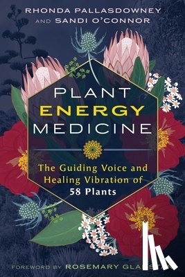 PallasDowney, Rhonda, O'Connor, Sandi - Plant Energy Medicine