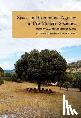  - Space and Communal Agency in Pre-Modern Societies