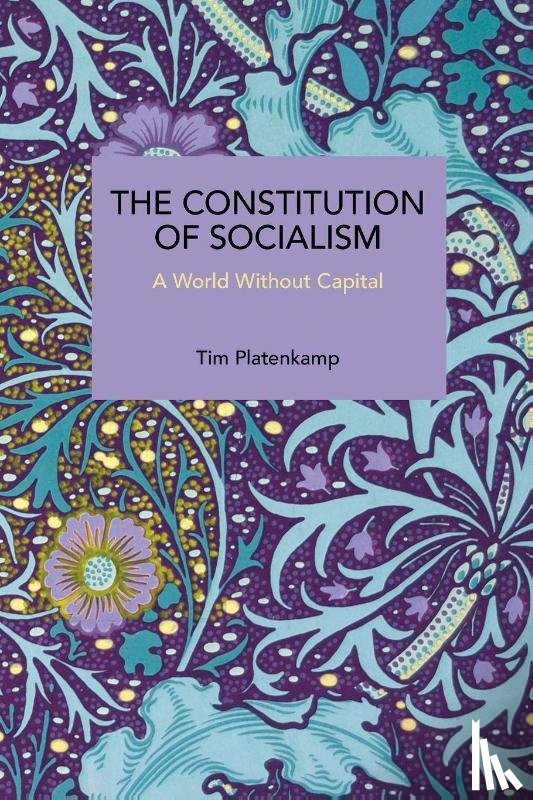 Platenkamp, Tim - The Constitution of Socialism
