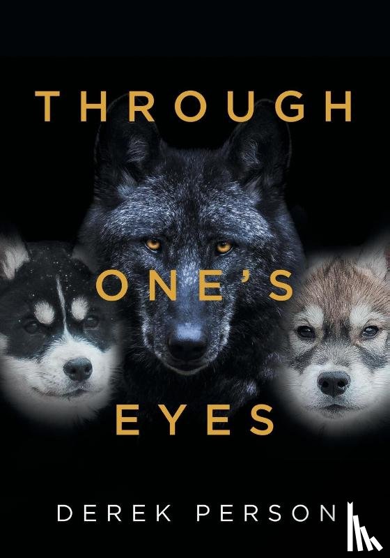 Person, Derek - Through One's Eyes