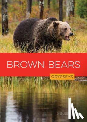 Gish, Melissa - Brown Bears