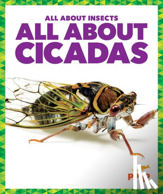 Golkar, Golriz - All about Cicadas