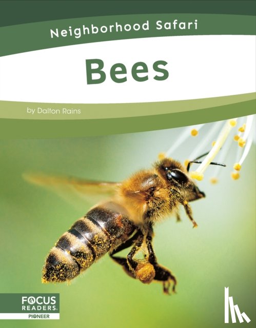 Rains, Dalton - Bees
