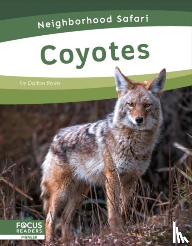 Rains, Dalton - Coyotes