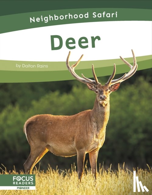 Rains, Dalton - Deer
