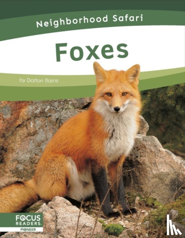 Rains, Dalton - Foxes
